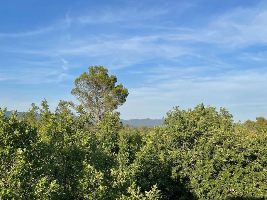 Villa Piscine - Gorges Du Verdon, Lac De Sainte-Croix Régusse Extérieur photo